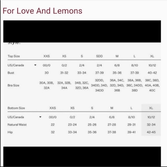 FOR LOVE & LEMONS Shimmer Lace Bodysuit - Picture 7 of 7